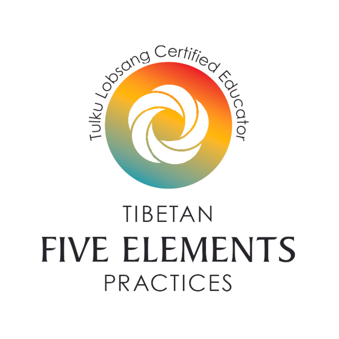 5 Elements Educator Transparente