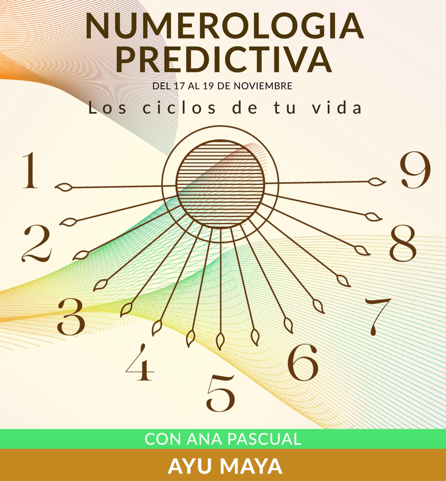 Imagen 21